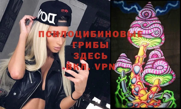 дживик Надым