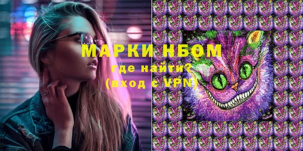 дживик Надым