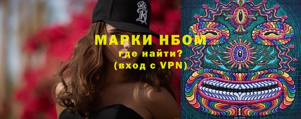 дживик Надым