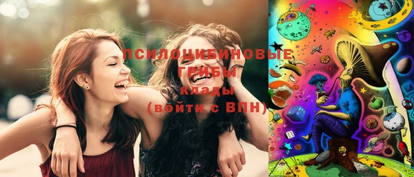 дживик Надым