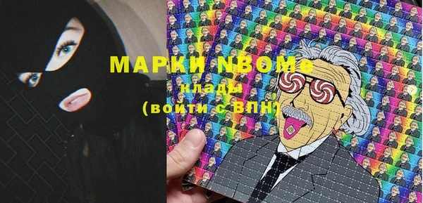 дживик Надым