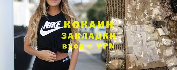 дживик Надым