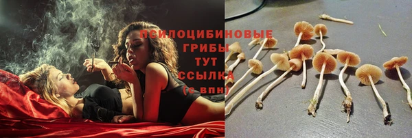 дживик Надым
