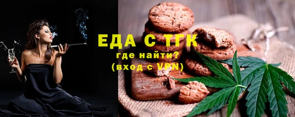дживик Надым