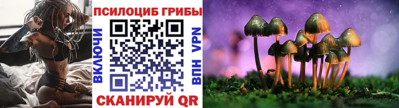 сайты даркнета официальный сайт  Петрозаводск  Псилоцибиновые грибы Psilocybe 