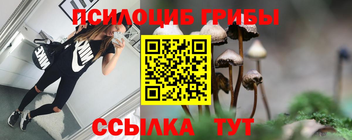 Петрозаводск  Псилоцибиновые грибы Magic Shrooms  Вход с VPN 