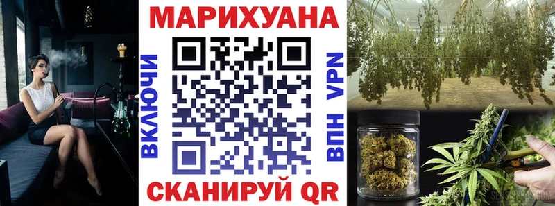 дарнет шоп  Петрозаводск  Каннабис SATIVA & INDICA 